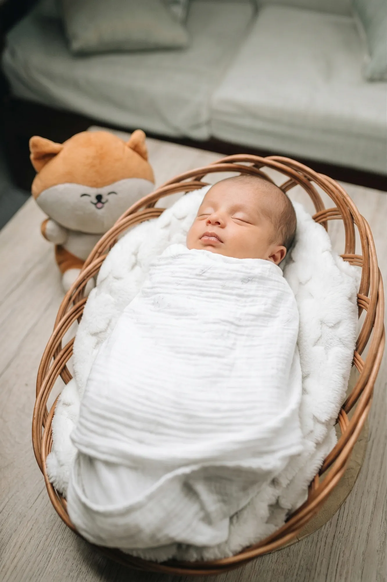 Newborn asleep in a rattan basket with a plush toy